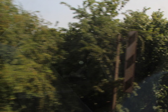 Enlarge photo 362