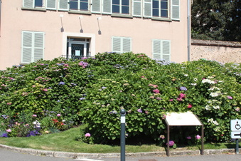 Enlarge photo 408