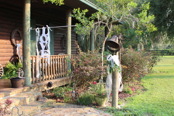 Enlarge photo 3