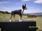 Enlarge photo 141