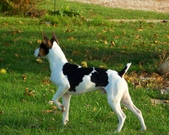 Enlarge photo 326
