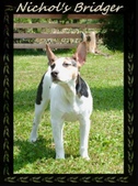 Enlarge photo 153