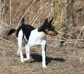 Seegmiller's Razzmatazz