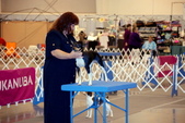 Enlarge photo 26