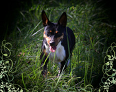Enlarge photo 24