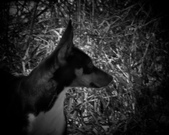 Enlarge photo 49