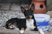 Enlarge photo 13