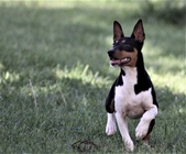 Enlarge photo 12