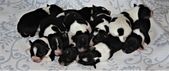Enlarge photo 34