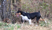 Enlarge photo 5