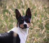 Seegmiller's Life Of Riley