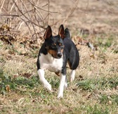Enlarge photo 21