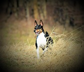 Enlarge photo 25