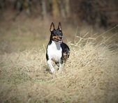 Enlarge photo 15