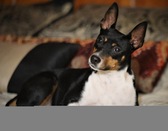 Enlarge photo 24