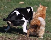 Enlarge photo 12