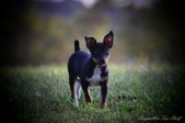 Enlarge photo 24