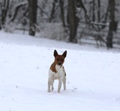 Enlarge photo 16