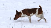 Enlarge photo 13