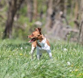 Enlarge photo 27