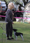 Enlarge photo 11