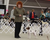 Enlarge photo 28