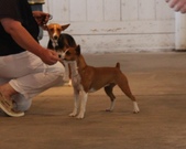 Enlarge photo 10