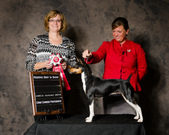 Show Portraits