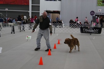 Enlarge photo 23