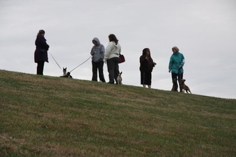 Enlarge photo 42