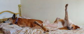 Enlarge photo 30