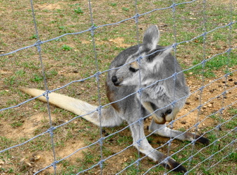 Enlarge photo 6