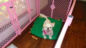 Enlarge photo 24