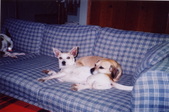 Enlarge photo 16