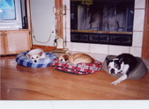 Enlarge photo 17