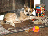 Enlarge photo 37