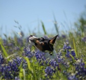 Enlarge photo 15