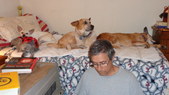Enlarge photo 3