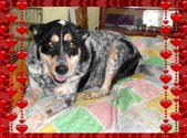 Nadine n the Pack Pics