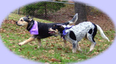 Enlarge photo 15