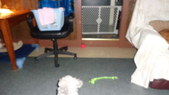 Enlarge photo 12