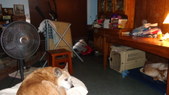 Enlarge photo 13