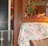 Enlarge photo 40