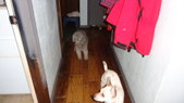 Enlarge photo 26