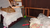 Enlarge photo 27