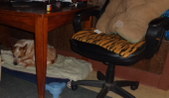 Enlarge photo 41
