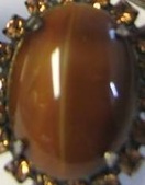 Enlarge photo 59