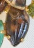 Enlarge photo 168