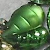 Enlarge photo 148