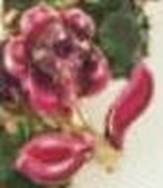 Enlarge photo 106